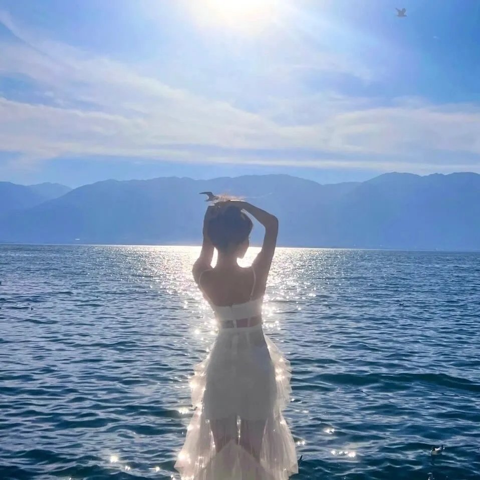 中国诗词大会第三季